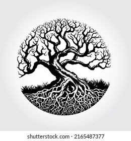 Root Of The Tree vector illustration. Illustration of a beautiful plant.