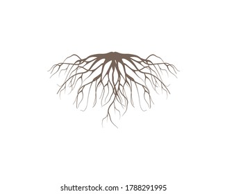 root of a tree vector isolated on white background. roots icon.