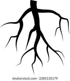 root of a tree vector isolated on white background. roots icon.