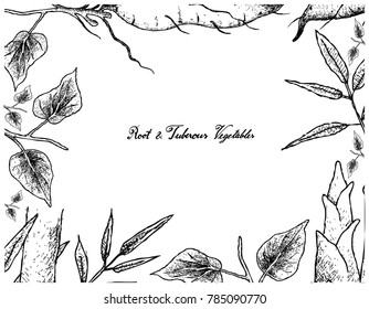 Root and Tuberous Vegetables, Illustration Frame of Hand Drawn Sketch of Sweet Potato and Bamboo Shoot Plants Isolated on White Background.