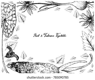 Root and Tuberous Vegetables, Illustration Frame of Hand Drawn Sketch of Water Caltrop, Wasabi and Camas Plants Isolated on White Background.