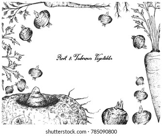 Root and Tuberous Vegetables, Illustration Frame of Hand Drawn Sketch of Water Chestnut, Hamburg Parsley, Elephant Foot Yam and Carrot Plants Isolated on White Background.