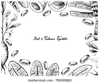 Root and Tuberous Vegetables, Illustration Frame of of Delicious Fresh Ensete, Earthnut Pea or Bamboo Shoot Isolated on White Background.