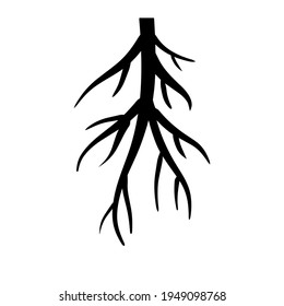 Root. Underground part of plant. Black icon.