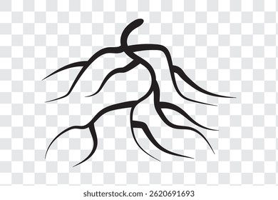 Root vector art, Root silhouette, Root silhouette vector illustration 