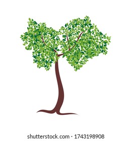 
root vector and green trees with white background