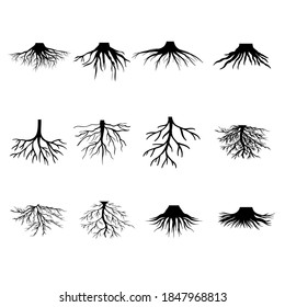 Root vector icon set. tree illustration sign collection. herbs symbol.