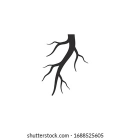 Root vector illustration template design 