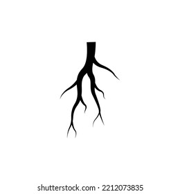 Root vector illustration template design