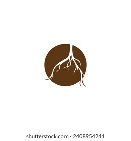 Root vector illustration template design