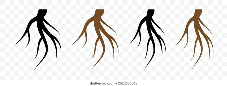 Root vector set isolated. Root, taproot vector isolated. Wood growth, plant system, eco pattern, natural organic shapes.  Plant root system. Realistic black roots vector illustration. 