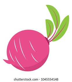 A root vegetable, flat icon design of a turnip
