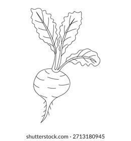 Vegetal raiz com folhas verdes exibindo detalhes de sua estrutura em um simples desenho de linha