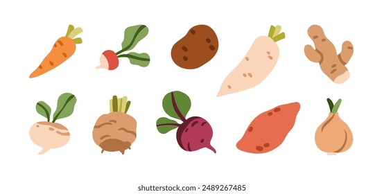 Conjunto de hortalizas de raíz. Zanahoria, rábano daikon, batata, remolacha, cebolla, nabo, apio, jengibre y tubérculo de rutabaga. Comida natural, iconos de verduras. Ilustración vectorial plana aislada sobre fondo blanco