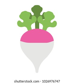 Root Vegetable Turnip Flat Design Icon Stock Vector (Royalty Free ...