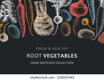 Root vegetables background. Root plants sketches design on chalkboard. Garden vegetable vector banner. Hand-sketched beet, radish, daikon, celery, turnip illustration for menu, recipe, packaging.