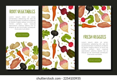 Root Vegetables Banner Design with Ripe Agricultural Crops Vector Template