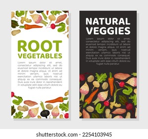 Root Vegetables Bannerdesign mit reifer landwirtschaftlicher Nutzpflanzen Vektorvorlage