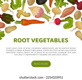 Root Vegetables Banner Design with Ripe Agricultural Crops Vector Template