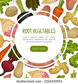 Root Vegetables Banner Design with Ripe Agricultural Crops Vector Template