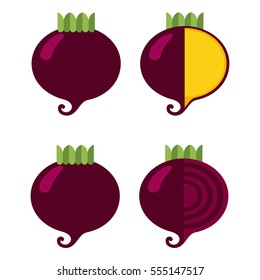 Root vegetables: beets and turnips, a general view and in section, on a white background