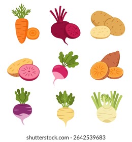Root Vegetables Carrots with Potatoes, Beets, and Illustration.