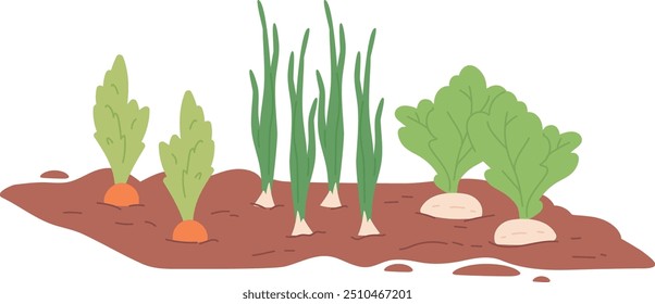 Root vegetables growing in soil. Garden ground icon isolated on white background