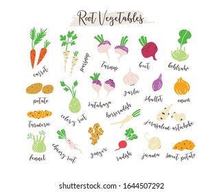 Root vegetables hand drawn icons set illustration