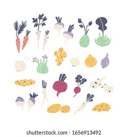 Root vegetables hand drawn icons set illustration isolated on white background