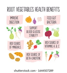 Root vegetables health benefits info-graphic illustration