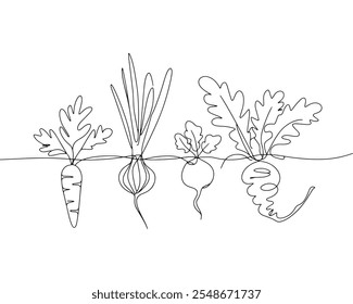 Root vegetables line art - cenoura, cebola, beterraba e rabanete vetor  