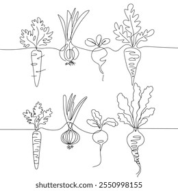 Root vegetables line art - cenoura, cebola, beterraba e rabanete vetor  