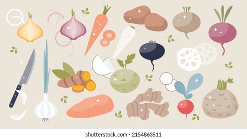 Root vegetables set with underground food plants tiny person collection. Popular eating product elements with healthy garden harvest items vector illustration. Beets, potatoes, radish and garlic crops