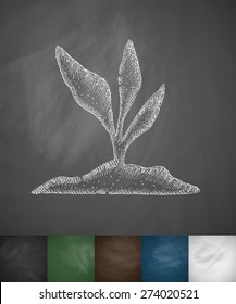 root-crop icon. Hand drawn vector illustration. Chalkboard Design