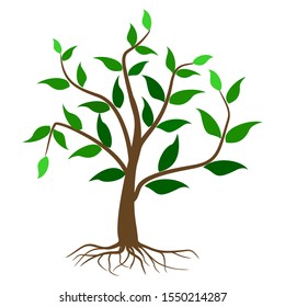 rooted plants and green leaves against a white background