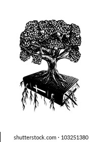 Rooted in Scripture