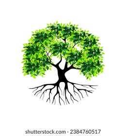 rooted tree design. banyan tree with circular shape vector illustration isolated on white background.