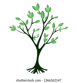 rooted tree with a few beautiful leaves