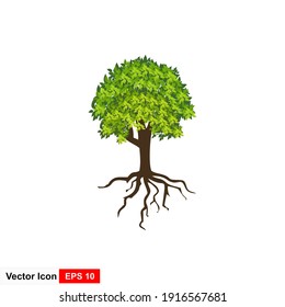 Rooted tree and green leaves, vector illustration