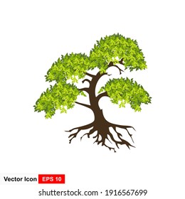Rooted tree and green leaves, vector illustration