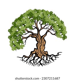 rooted tree illustration logo design. concept, big tree with roots.