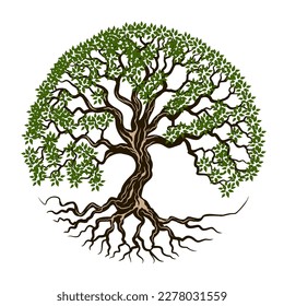 rooted tree logo design. banyan tree with circular shape svg