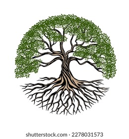 rooted tree logo design. banyan tree with circular shape svg