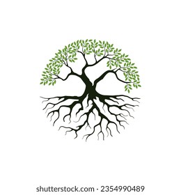 rooted tree logo design. banyan tree with circular shape