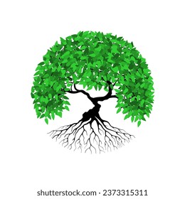 rooted tree logo design. banyan tree with circular shape