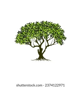 rooted tree logo design. banyan tree with circular shape
