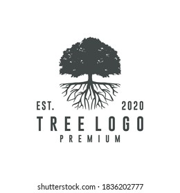 rooted tree vector design logo