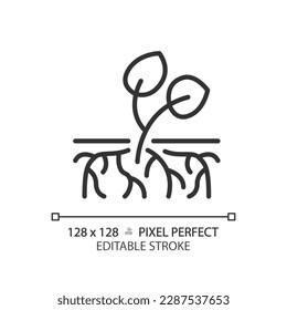 Rooting plant cutting linear icon. Propagation method. Artificial reproduction. Spring growth. Young sprout. Thin line illustration. Contour symbol. Vector outline drawing. Editable stroke