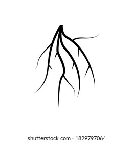 Icono negro de raíces. Ilustración vectorial de raíz de árbol. Aislado en blanco.