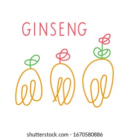 Roots of ginseng plant. Vector hand drawn illustration on white background.